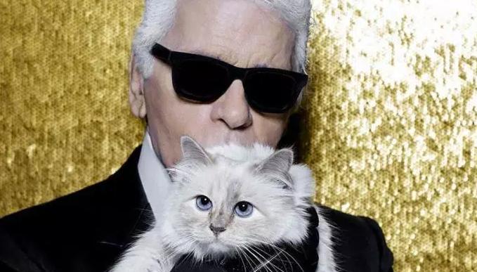 Mačka Karla Lagerfelda bude možno dediť. Choupette môže získať 195 miliónov dolárov.