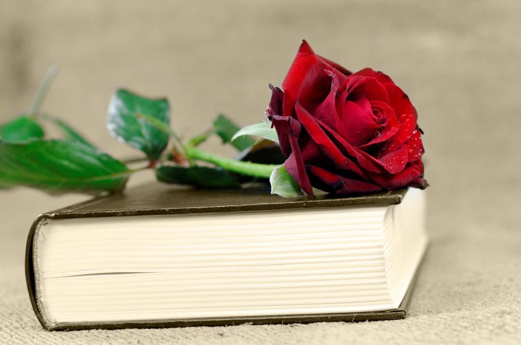 Čo si môžete vziať z romantických kníh?